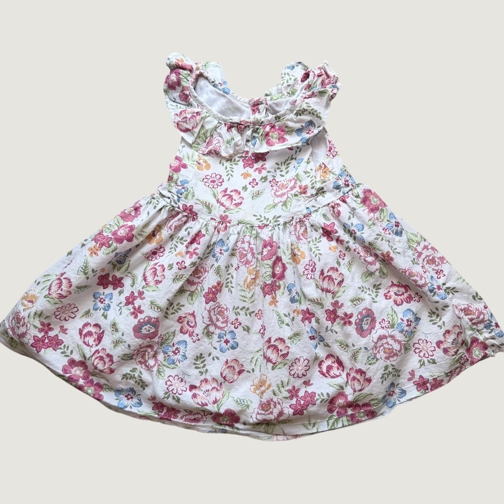 Janie and Jack Baby Girls Floral Ruffle Cotton Dress White Pink, 12-18 Months